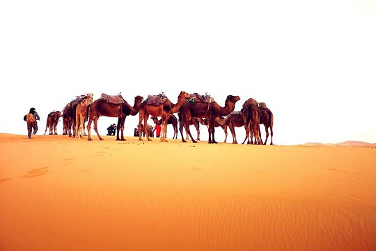 Tour image 8
