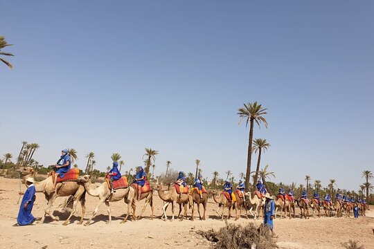 Tour image 7